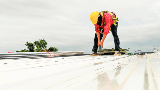 Best Gutter Installation and Repair  in Minnetrista, MN